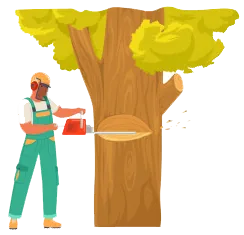 Abattage d'arbres à Cherbourg