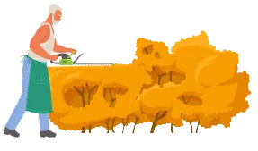 Taille de haies à Cherbourg